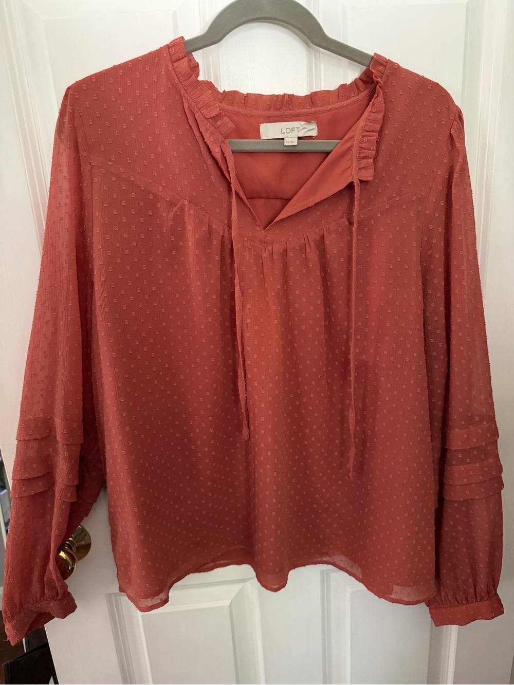 LOFT Rust Red Swiss Dot Peasant Blouse